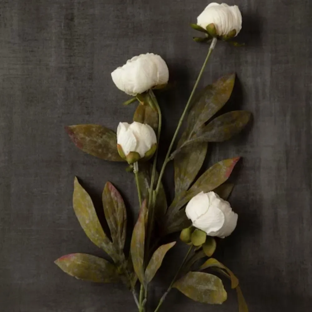 Set of 8 Viral Ashland Cream Peony Stems From Michael’s